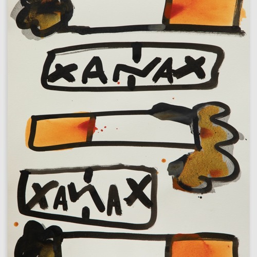 flexxity xenex freestyle