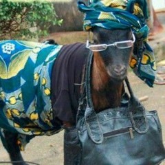 Sudden Jest (My Name is Jeff Edit)