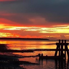 🦁❤️ - Fade Away.mp3