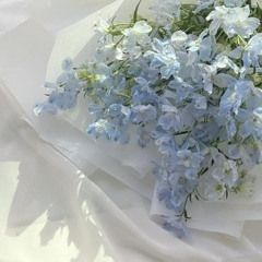 Blue Delphinium