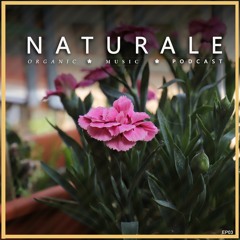 Podcast 03 - Naturale Organic Music🌱