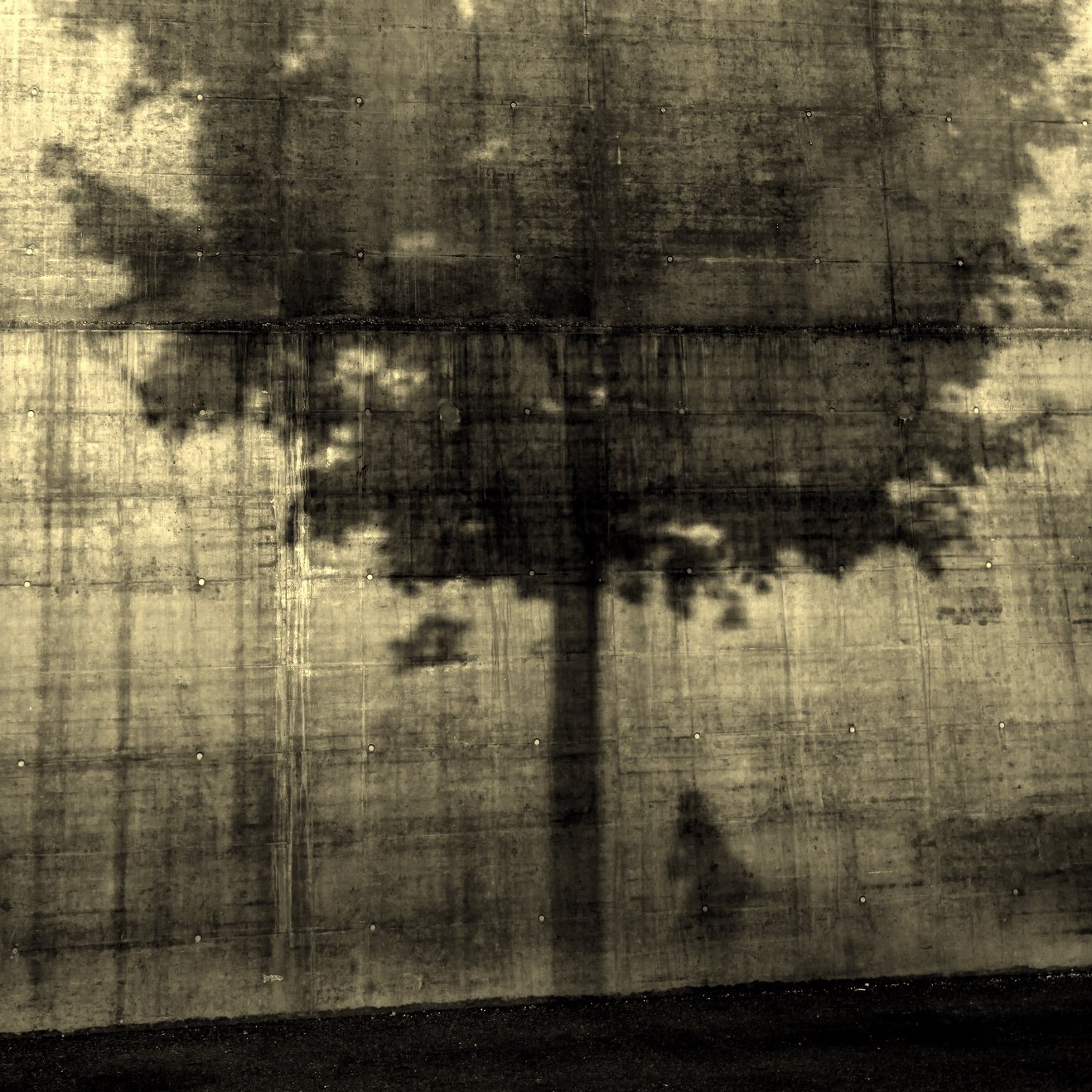 Photomission Photography Podcast