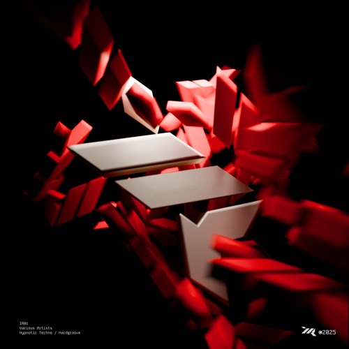 PREMIERE: Noah Tauber - Krokodil [IR01]