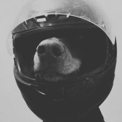 LIVE SETABLES - 07122025