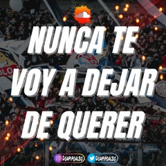 NUNCA TE VOY A DEJAR DE QUERER
