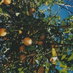 seria legal (mini musicas)