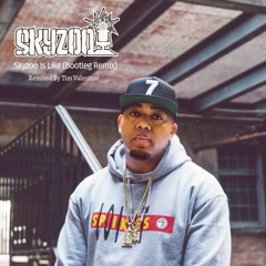 Skyzoo Is Like (Bootleg Remix)