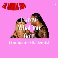 CLEAN* I Know What You Want (Ammaar O.D. Remix)