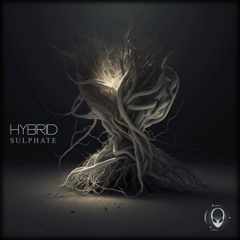 FREE DOWNLOAD: Hybrid - Sulphate (Preview)