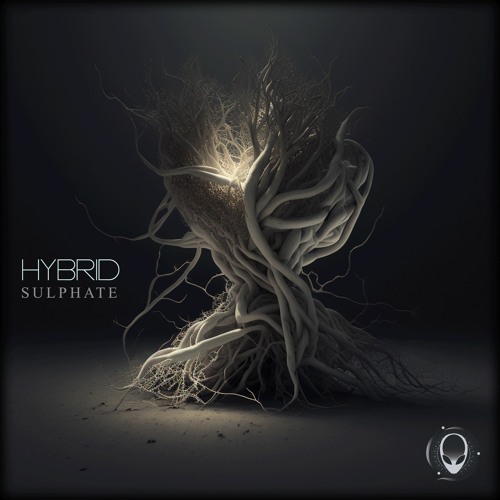 FREE DOWNLOAD: Hybrid - Sulphate (Preview)