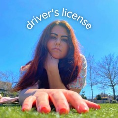 Driver's License (Julia Veinblat Cover)