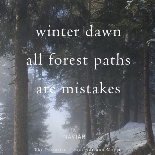 Wrong Turn Naviarhaiku474