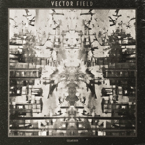 #75-VECTOR FIELD