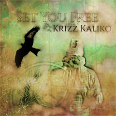 Set You Free Ft. Krizz Kaliko