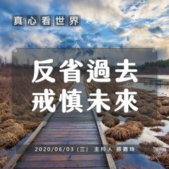 真心看世界20200603【反省過去 戒慎未來】【茹素推素 何明燕師兄】