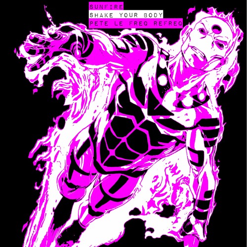 Sunfire - Shake Your Body (Pete Le Freq Refreq)