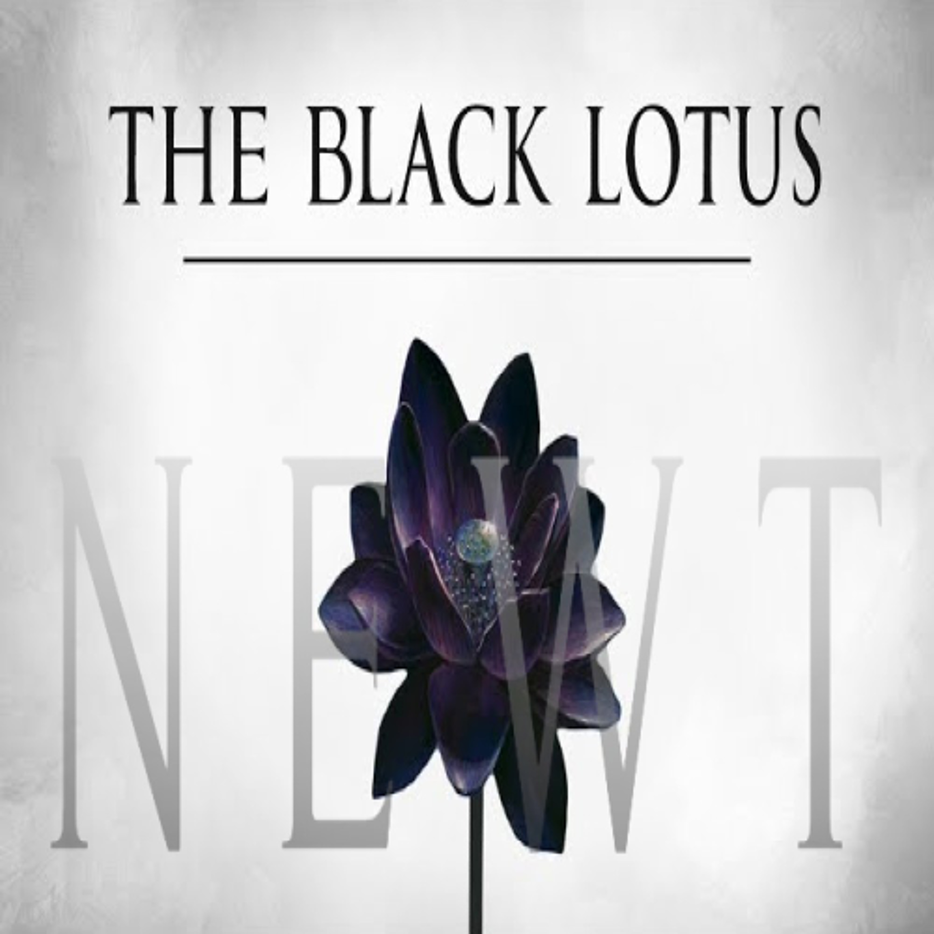 Newt - Black Lotus episode artwork