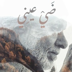 ضي عيني - حسن الحوري