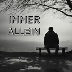 TeKkAgame - Immer Allein
