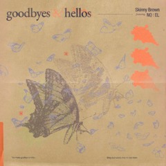 스키니브라운 - Goodbyes & Hellos
