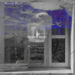 Minimally Invasive 061 Seraphim & Tanez Rei (YaDig? Records)