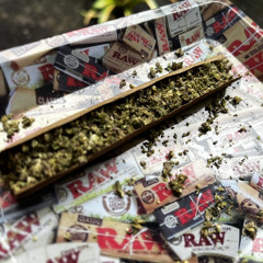 YG - Alone [RMX]  (gotta leave da tree alone)