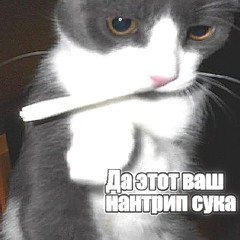 да этот ваш нантрип