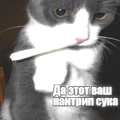 да этот ваш нантрип