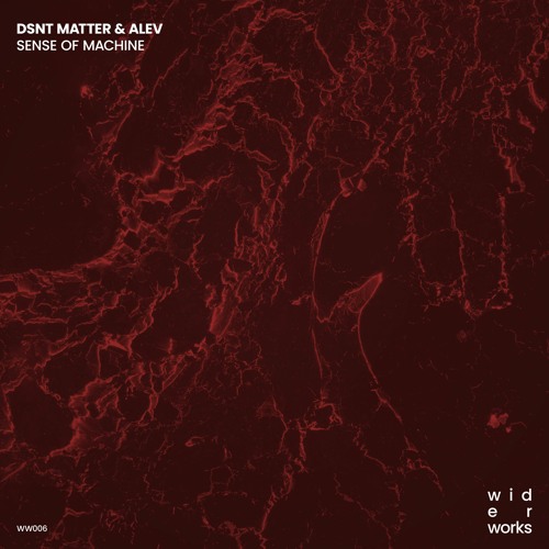 Dsnt Matter & ALEV - Sense of Machine (Extended Mix)