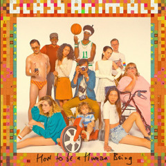 the other side of paradise - glass animals cover @kamapaprika