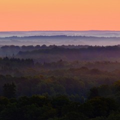 Ripples - Project [live jam]