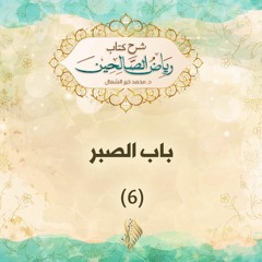 باب الصبر 6 - د. محمد خير الشعال