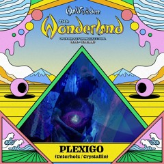 PLEXIGO @ 25th Waldfrieden Wonderland Festival • HillTop Floor • DJ-Set • I3.O8.2O23