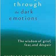 [Read] KINDLE PDF EBOOK EPUB Healing Through the Dark Emotions: The Wisdom of Grief,