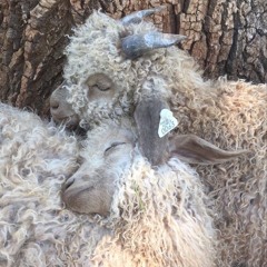 @SAY! - Some Day @okayheartless @l1sten