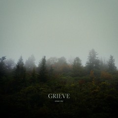 Grieve - Erase Me