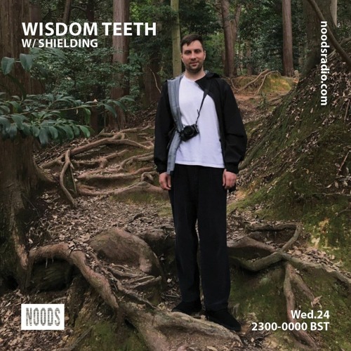 Noods Radio: Wisdom Teeth w/ Shielding - 25 June