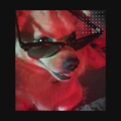 [mn] s h a k i r a i l [pl]