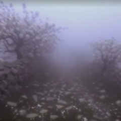 Deuce - Shawty Ridin by My Side (Prod. PANDEMXNIUM)