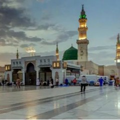 صحيح ما رأيت النور من وجهك - القارئ خالد بكري - لن تملك عيناك من الشوق