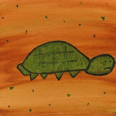 Sad Turtle