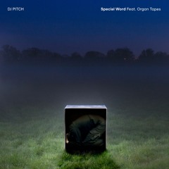 DJ Pitch - Special Word (Feat Organ Tapes)
