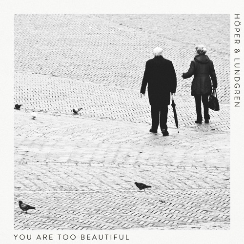 Höper & Lundgren - You Are Too Beautiful