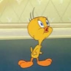 my songs by maja in chronological order