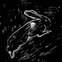 bunnymoon recs