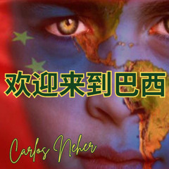 欢迎来到巴西