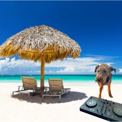 HHS (Hard House Summer)