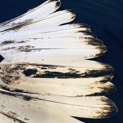 Dewey Gonnie Shadow Child cover By Branson Gorman