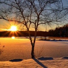 Four Seasons *winter