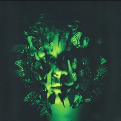 Imago